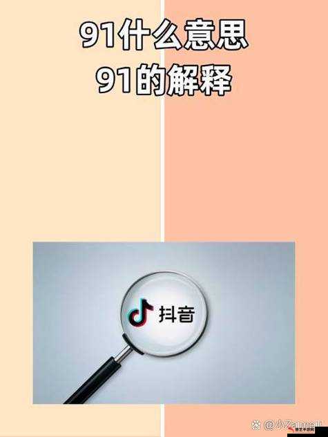 91抖抈：一个极具特色和影响力的平台